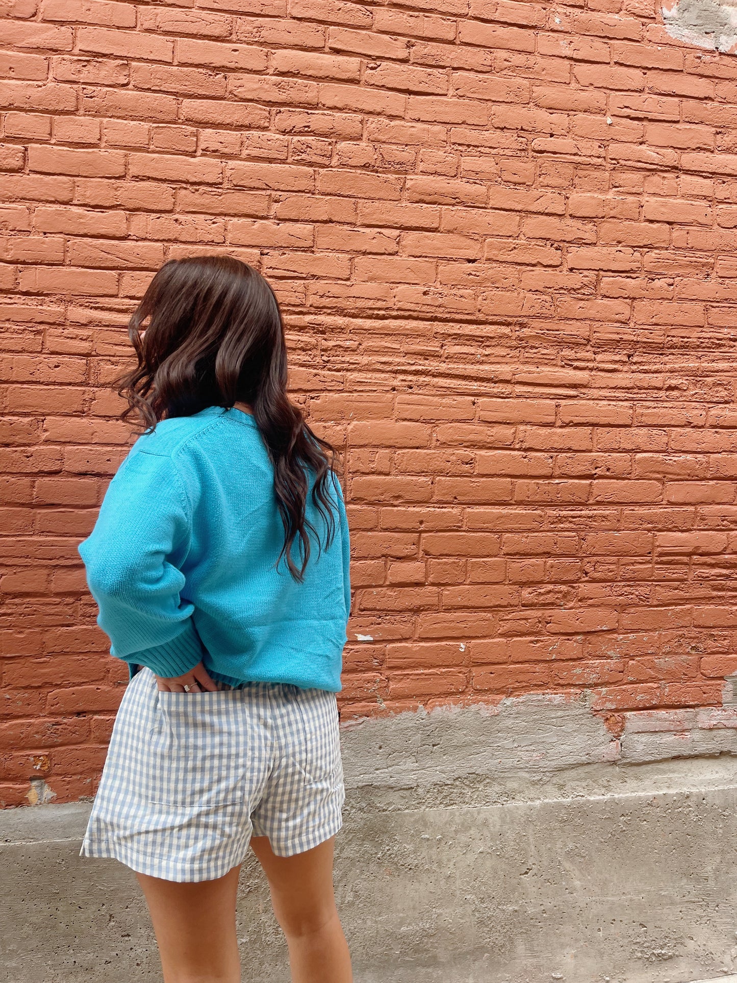 picnic shorts -BLUE