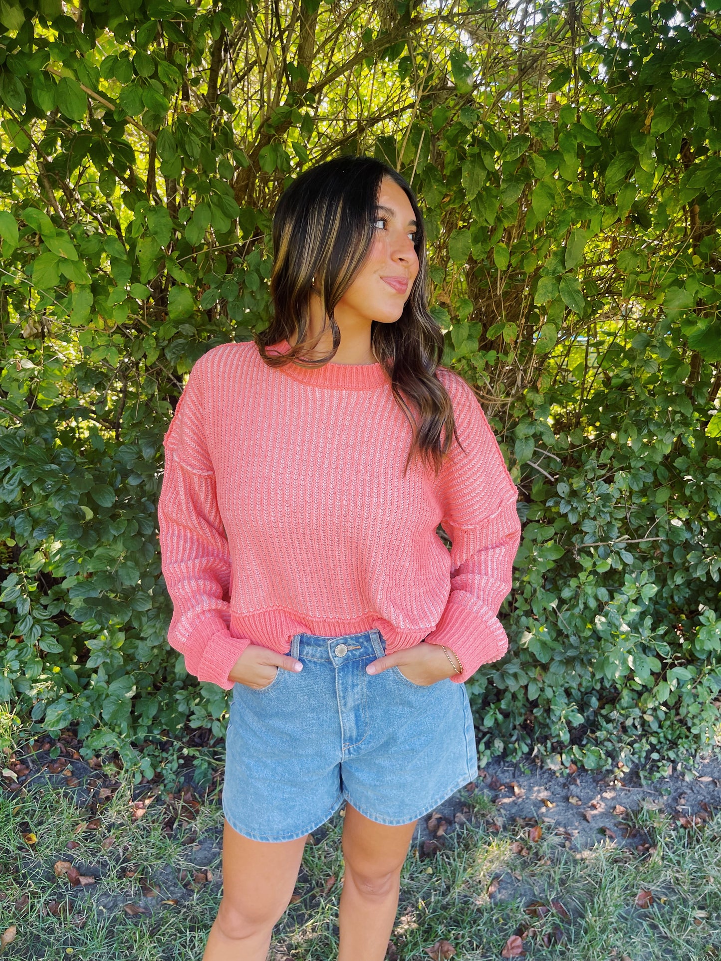 pumpkin patch sweater