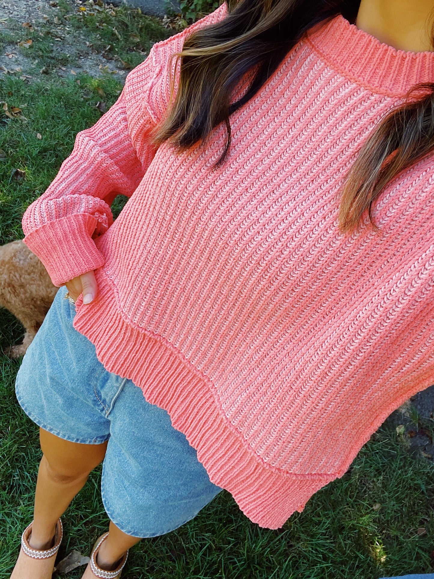 pumpkin patch sweater
