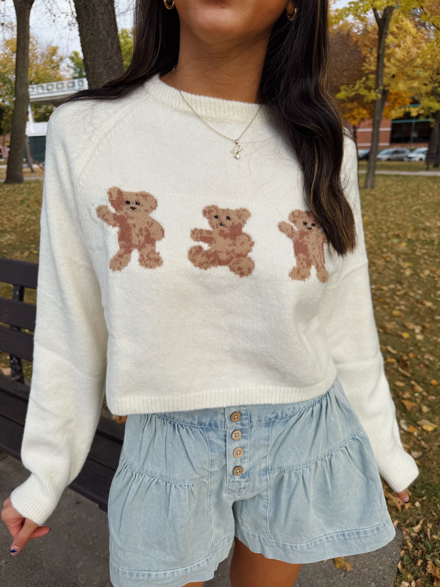 beary cute sweater (PREORDER)