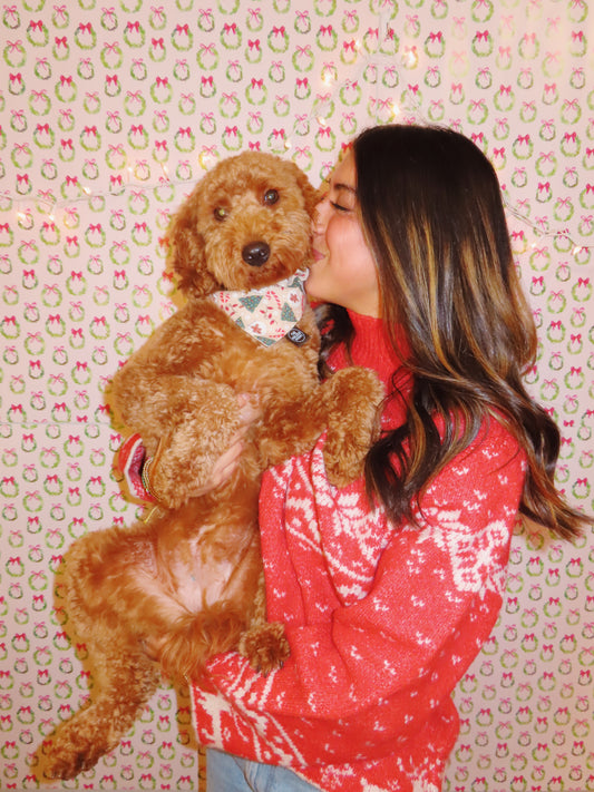 puppy bandanas